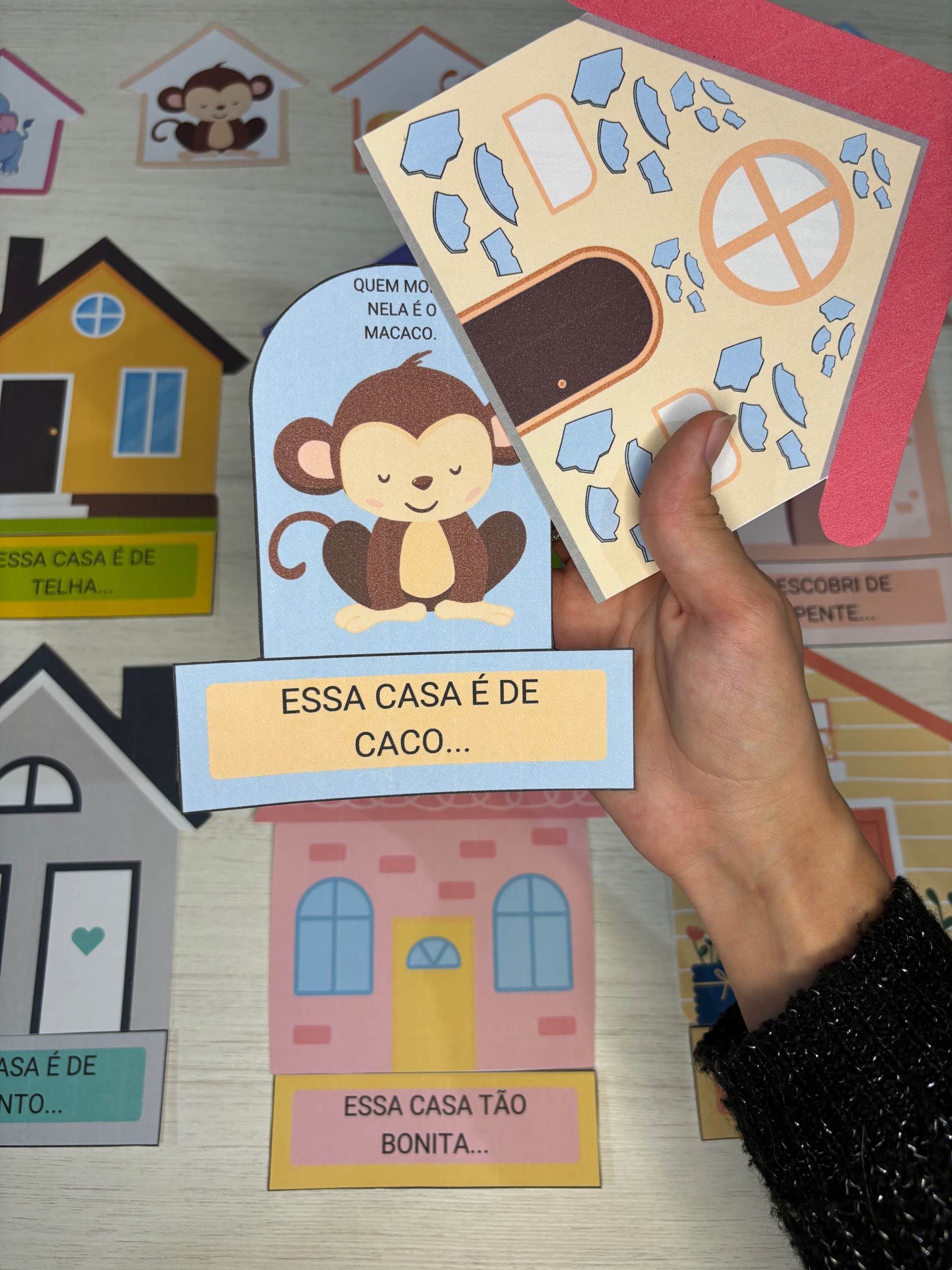 A CASA E O SEU DONO - Imagem 4