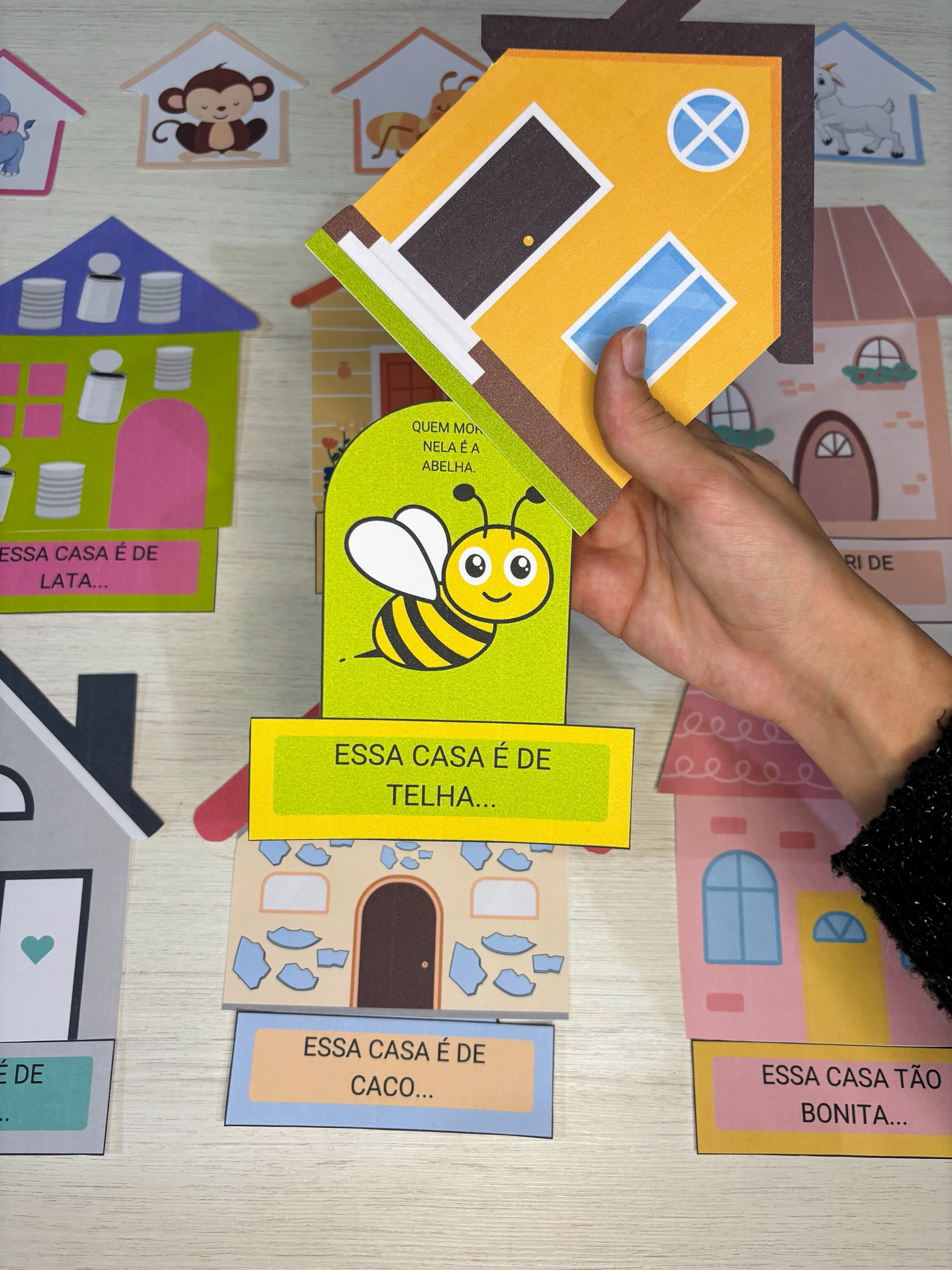 A CASA E O SEU DONO - Imagem 5