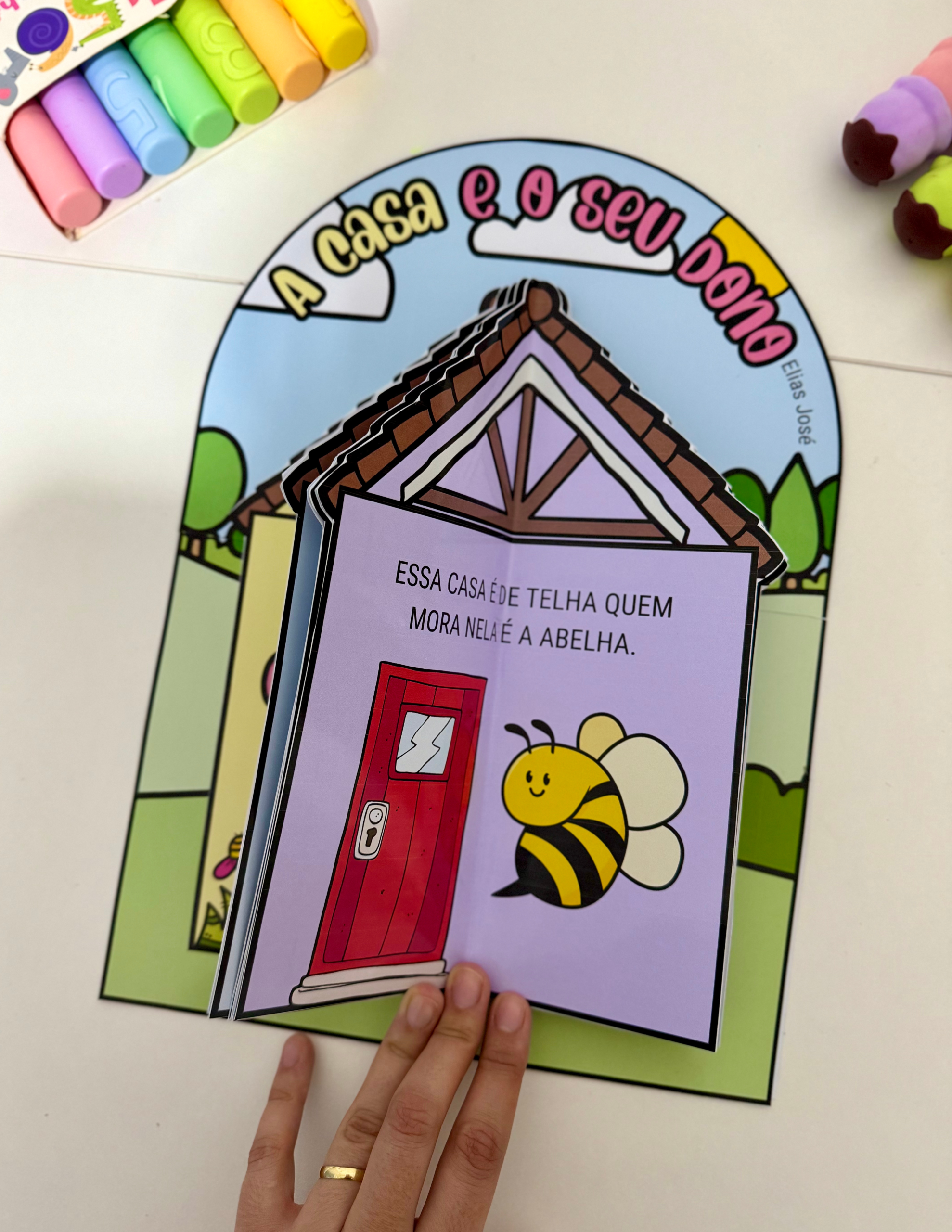 LIVRO A CASA E O SEU DONO - Imagem 6