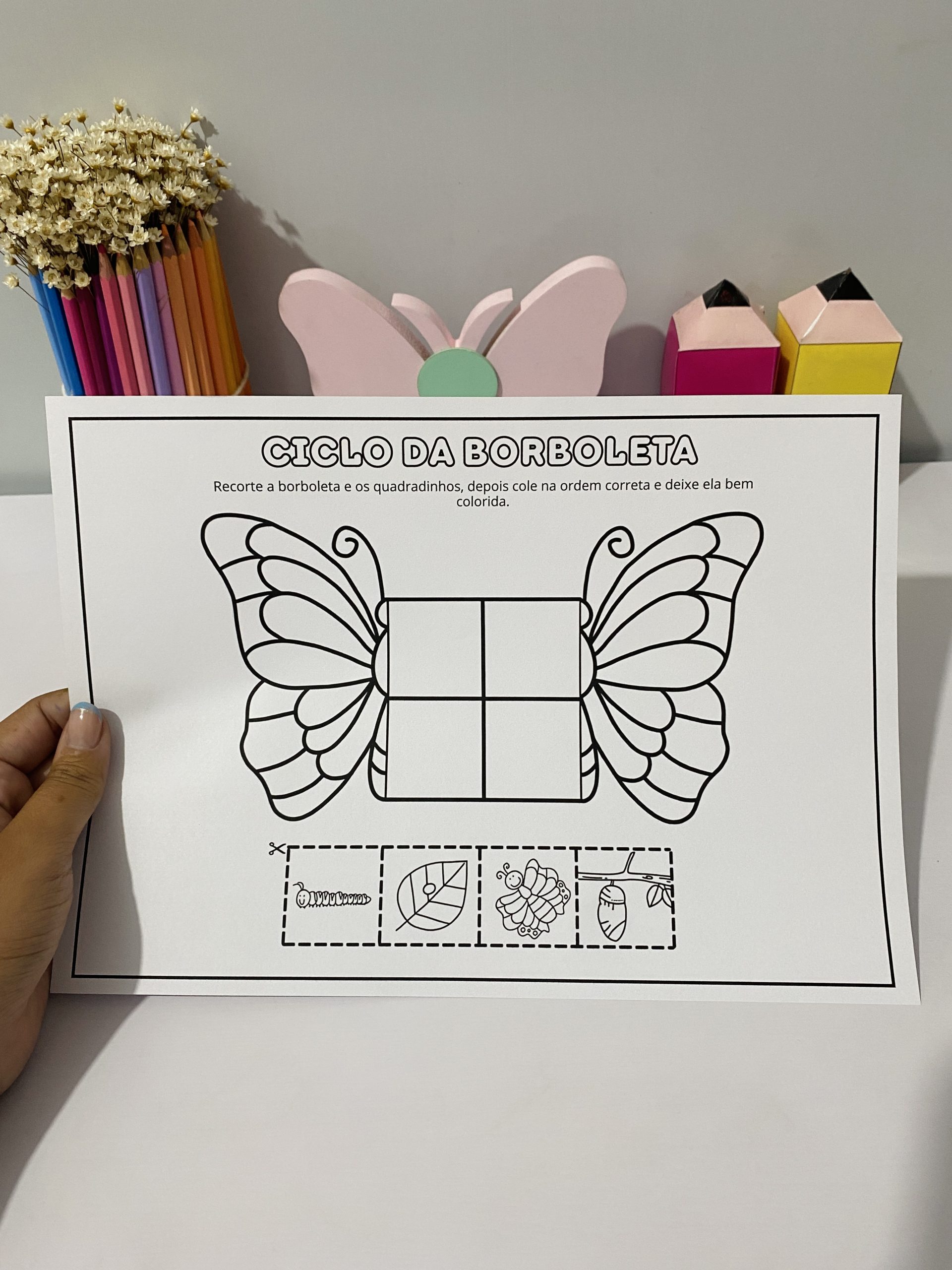 PRIMAVERA BORBOLETA - Imagem 4