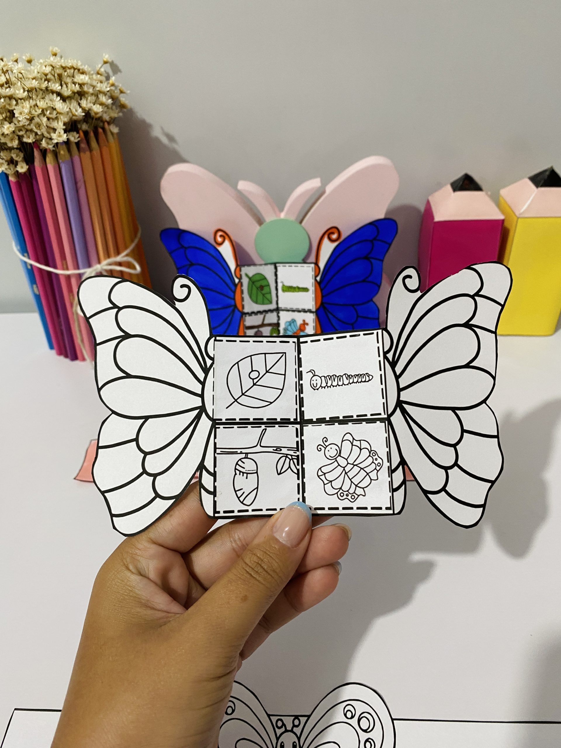 PRIMAVERA BORBOLETA - Imagem 5