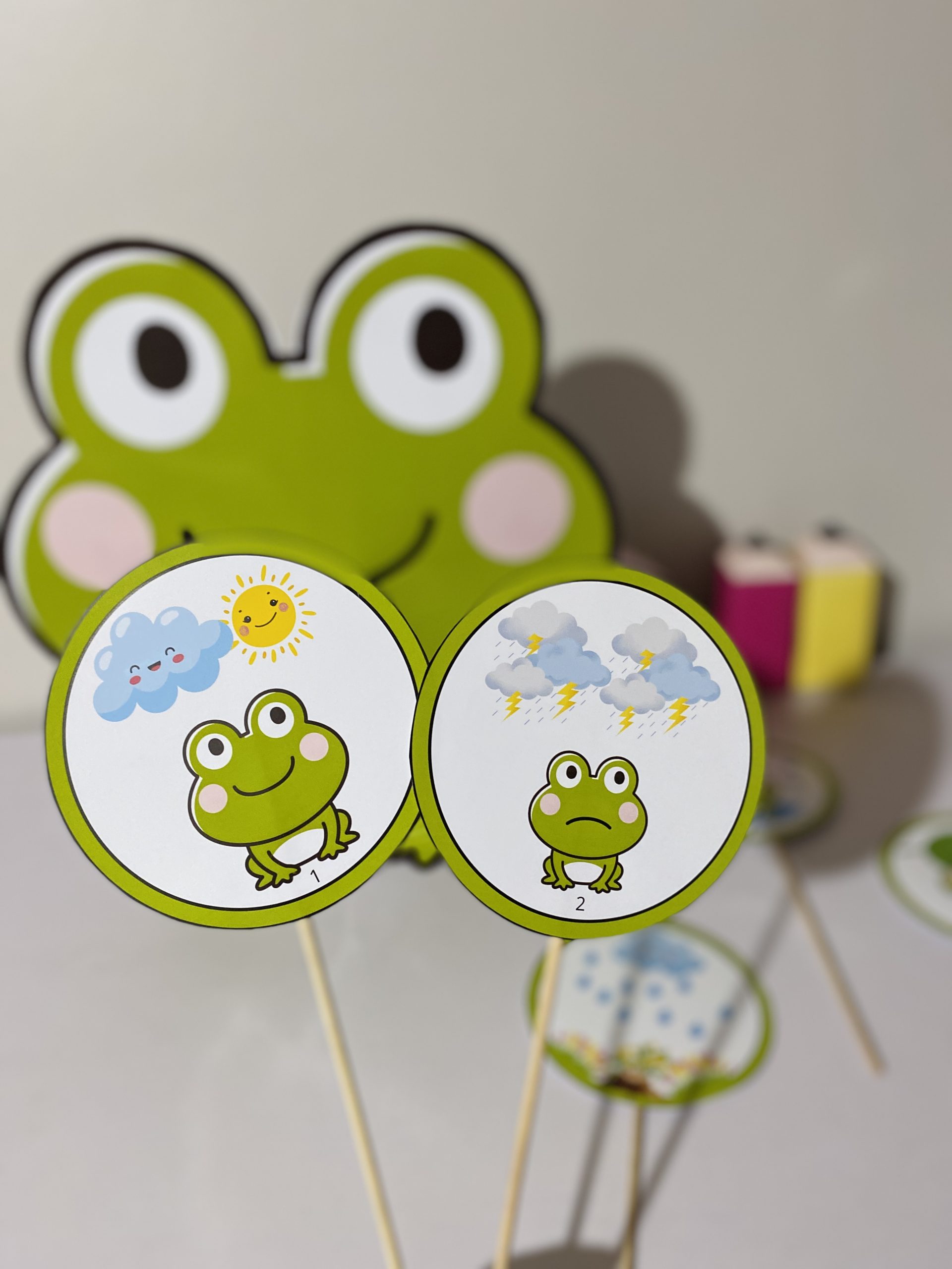 O SAPO E A CHUVA - Imagem 3