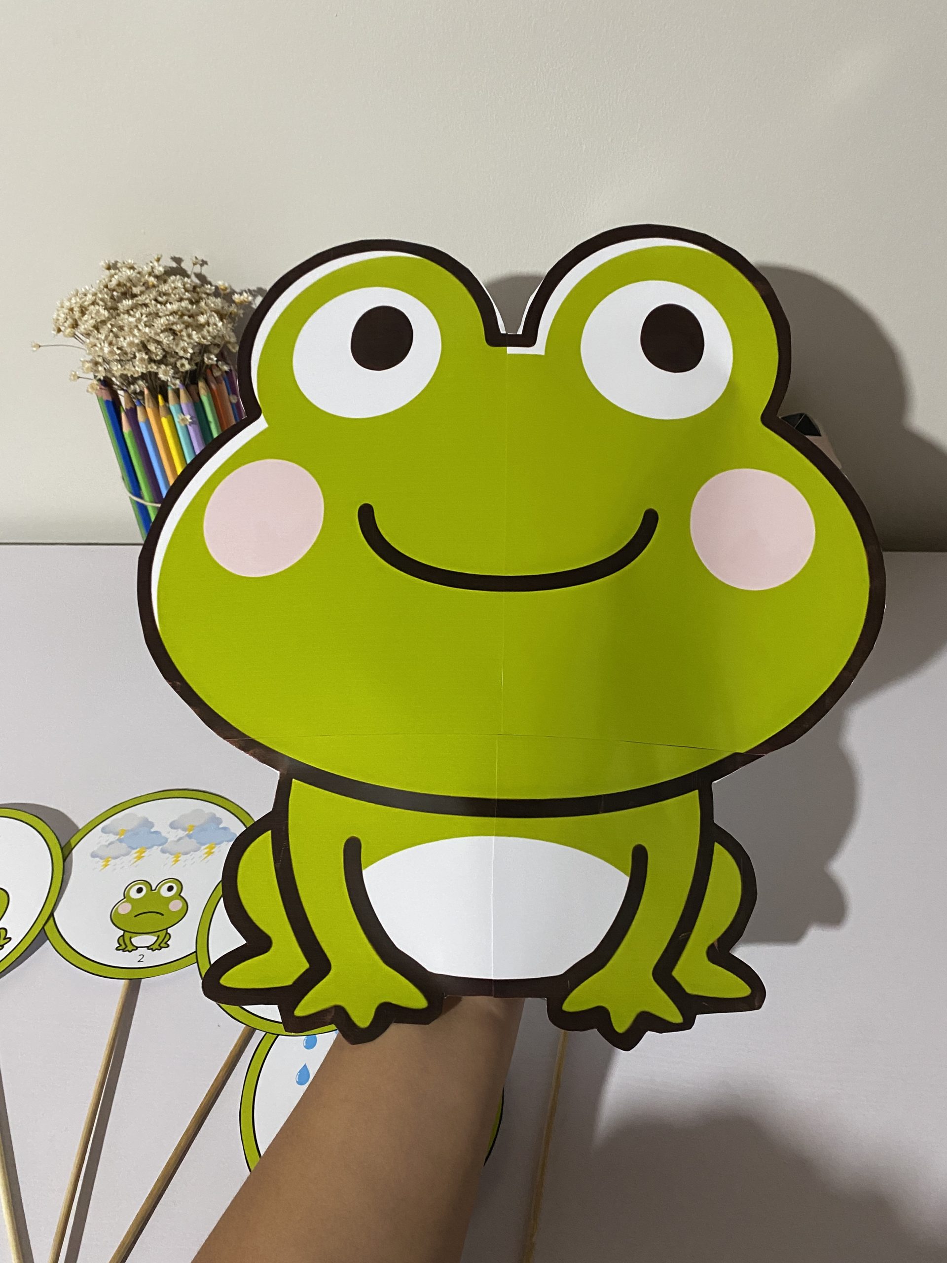 O SAPO E A CHUVA - Imagem 5