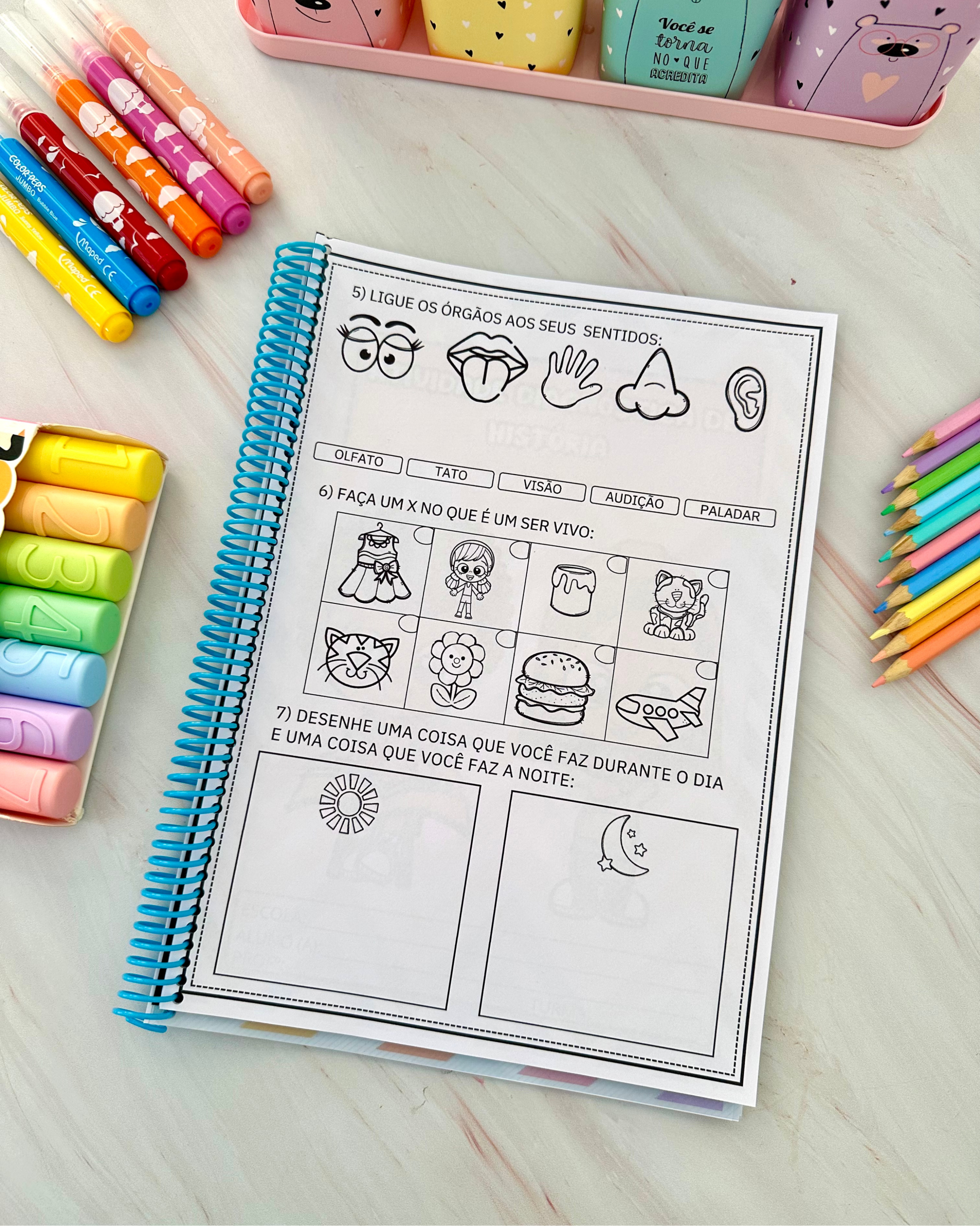 SONDAGEM DIAGNÓSTICA 1° ANO - Imagem 2