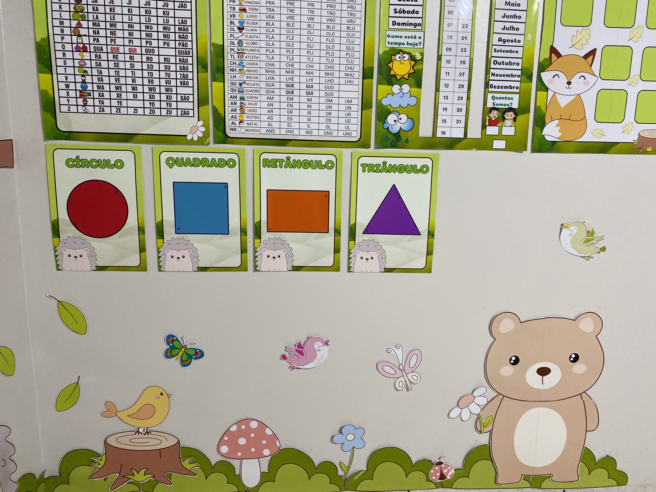 KIT FLORESTA - Imagem 5