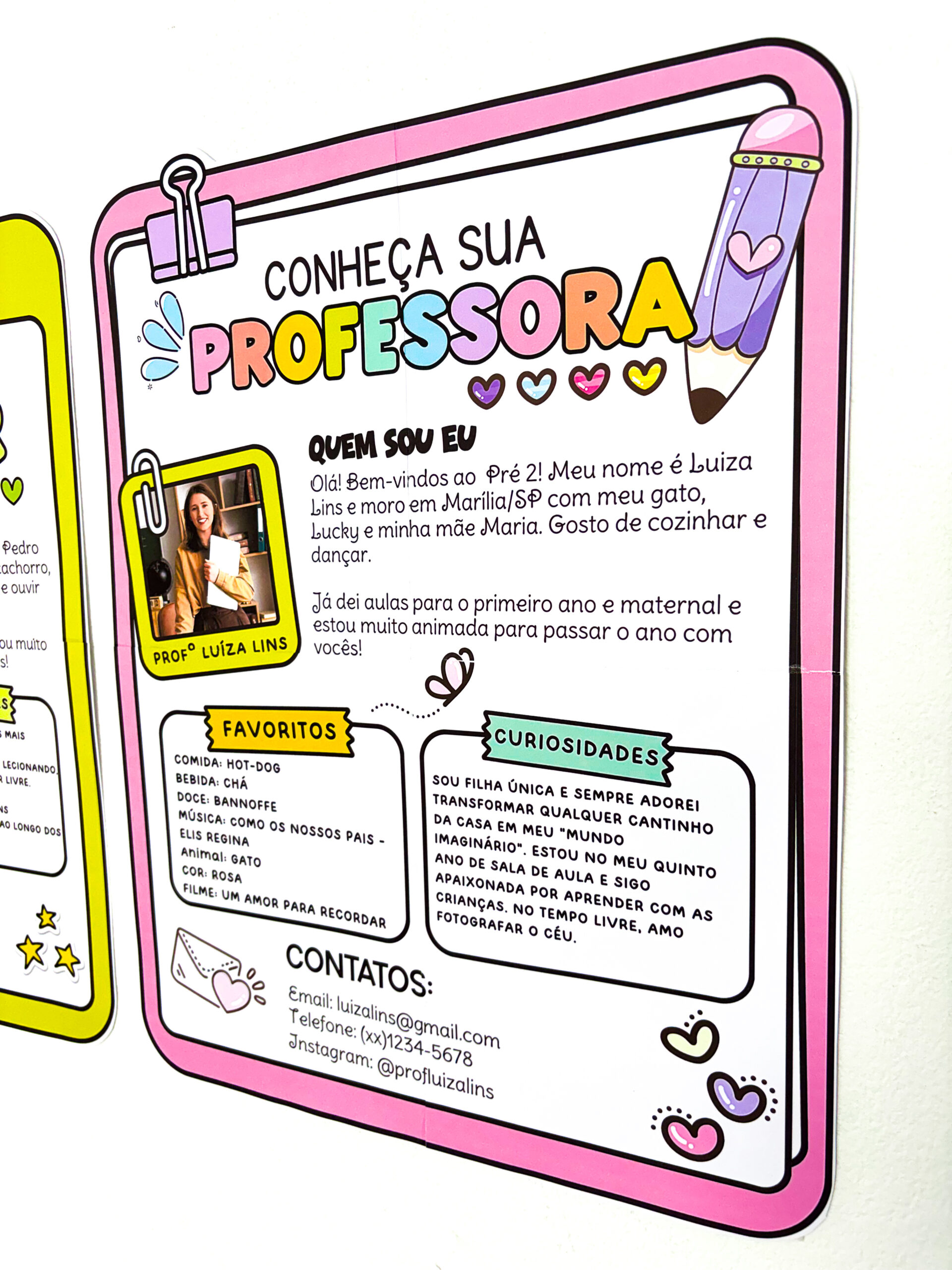 CONHEÇA SEU PROFESSOR - Imagem 4