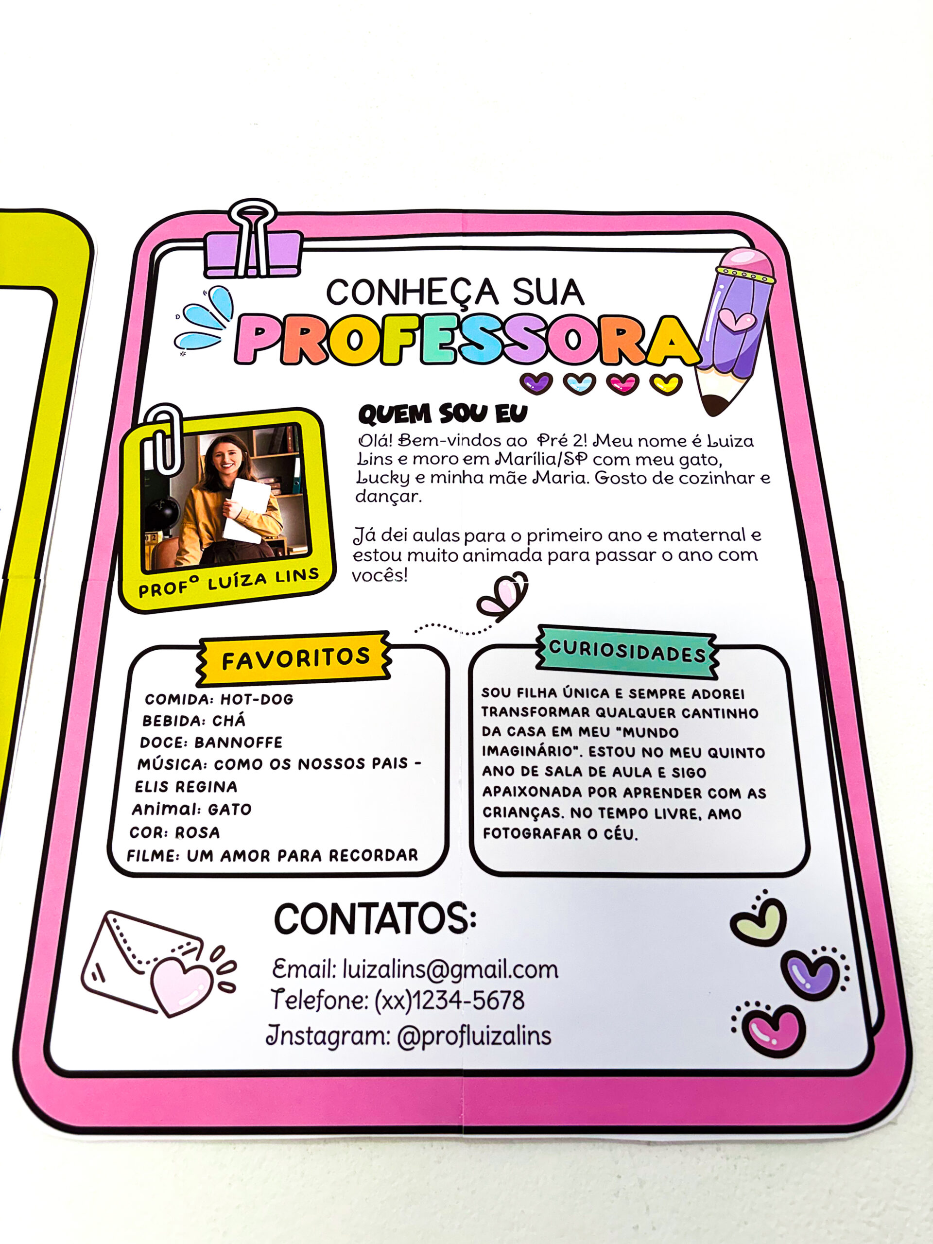 CONHEÇA SEU PROFESSOR - Imagem 7