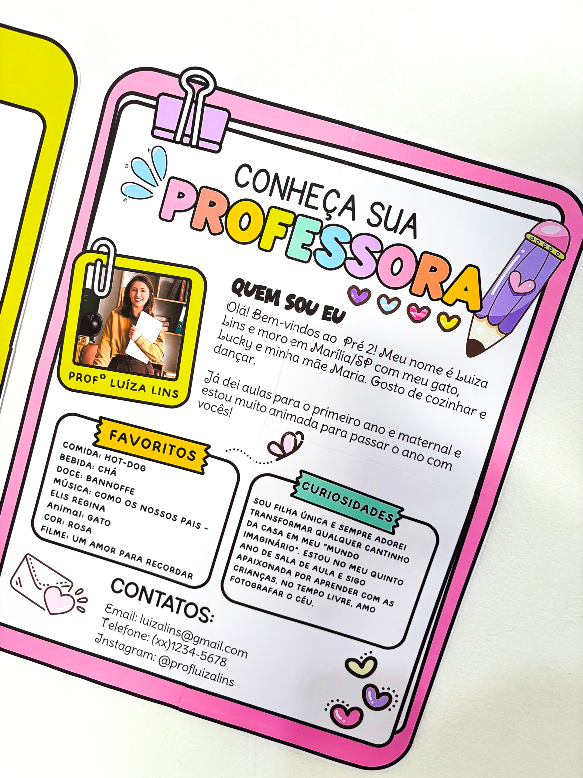 CONHEÇA SEU PROFESSOR - Imagem 13