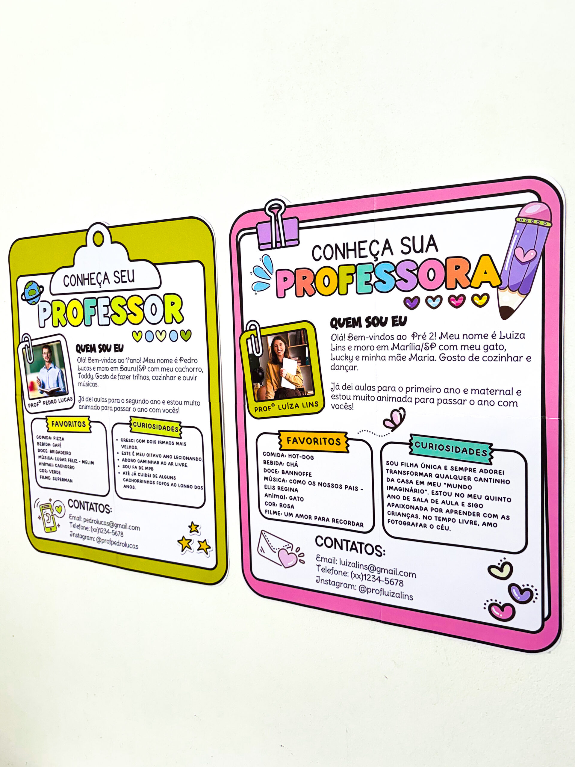 CONHEÇA SEU PROFESSOR - Imagem 5