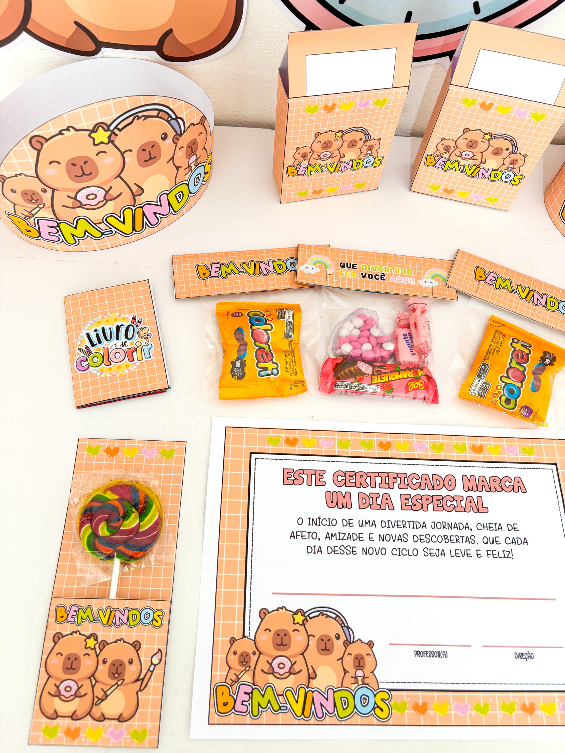 VOLTA ÀS AULAS CAPIVARA - Imagem 13