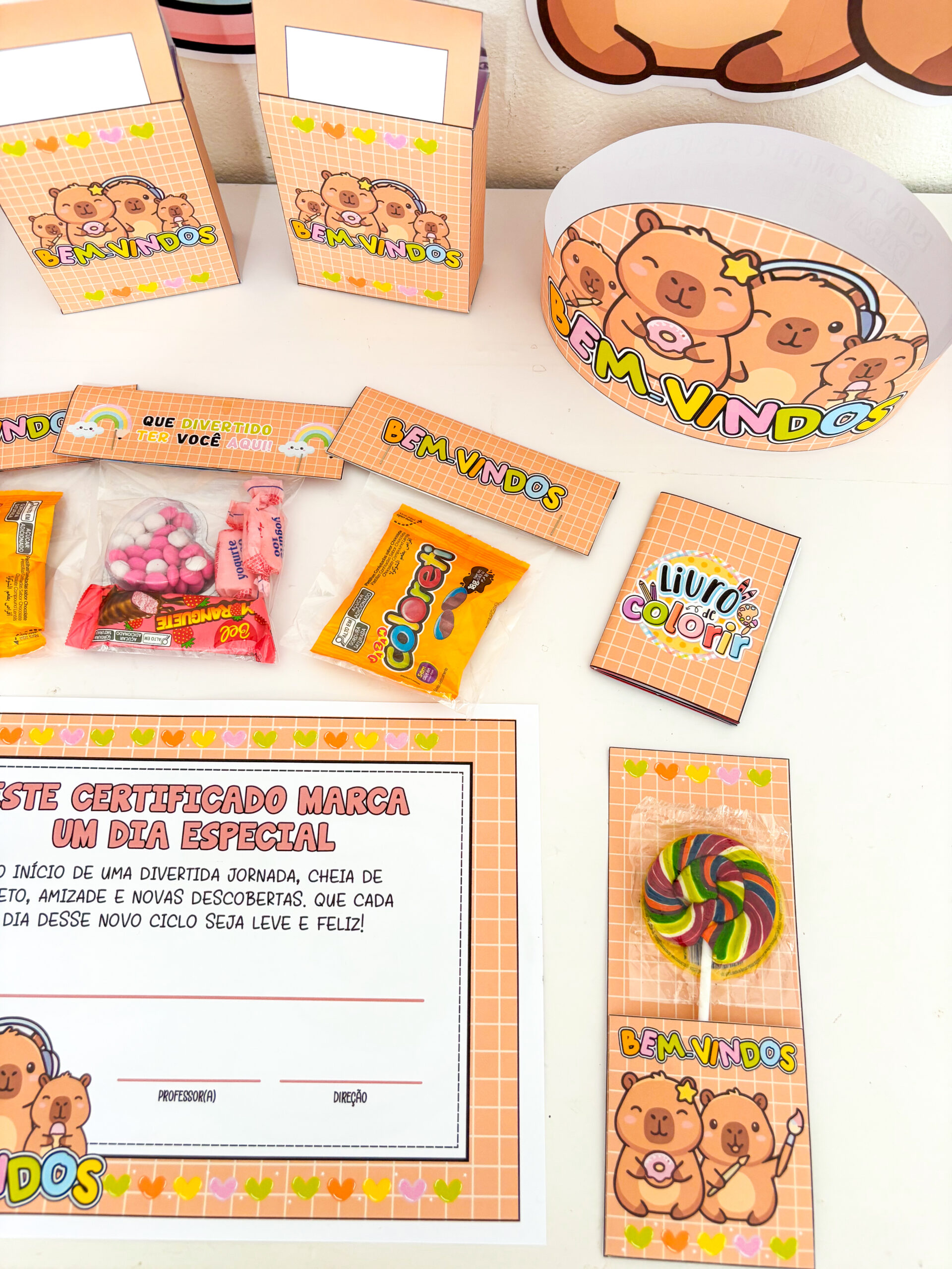 VOLTA ÀS AULAS CAPIVARA - Imagem 11