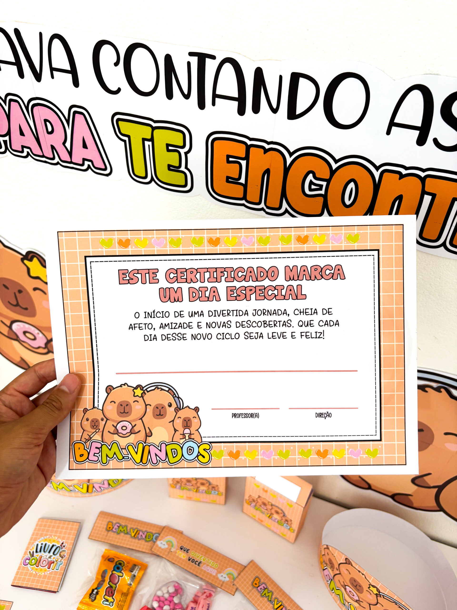 VOLTA ÀS AULAS CAPIVARA - Imagem 4