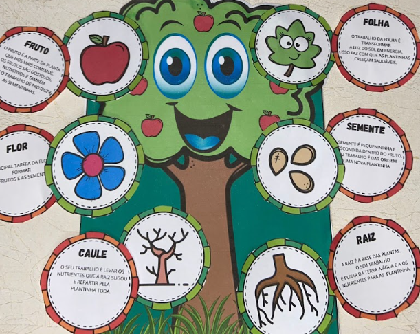 PARTES DE UMA PLANTA