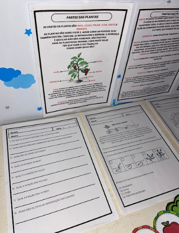 PARTES DE UMA PLANTA - Imagem 3