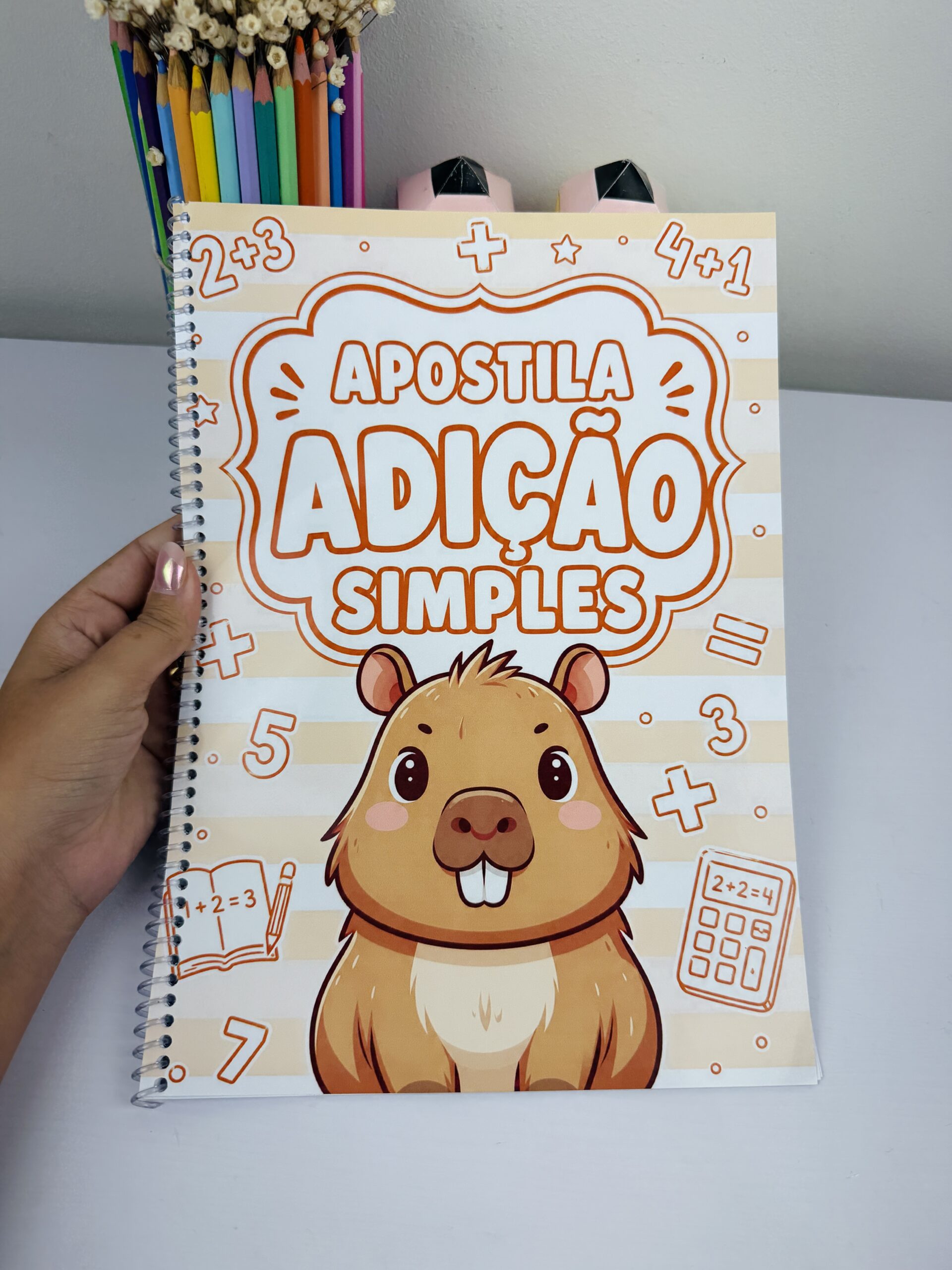 APOSTILA DE ADIÇÃO SIMPLES